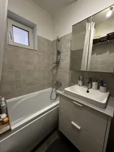 Apartament 3 camere Satu Mare - poza 7