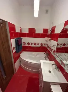 Apartament 3 camere Satu Mare - poza 3