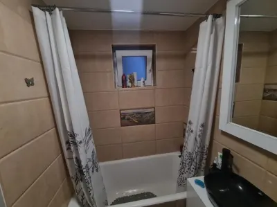 Apartament 2 camere Satu Mare - poza 5