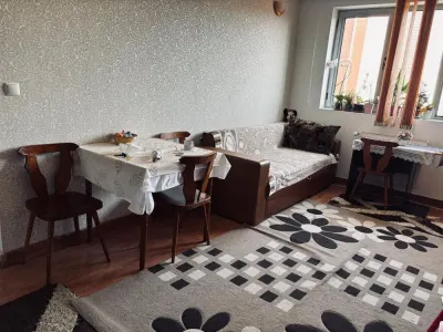 Apartament 2 camere Satu Mare - poza 2