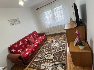 Apartament 2 camere Satu Mare - poza 2