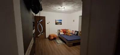 Apartament 2 camere Satu Mare - poza 4