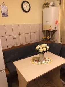 Apartament 2 camere Satu Mare - poza 3