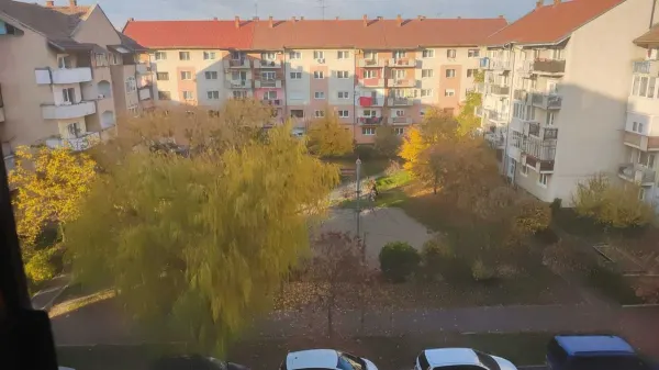 Apartament 3 camere Satu Mare - poza 8
