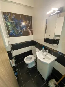 Apartament 3 camere Satu Mare - poza 8