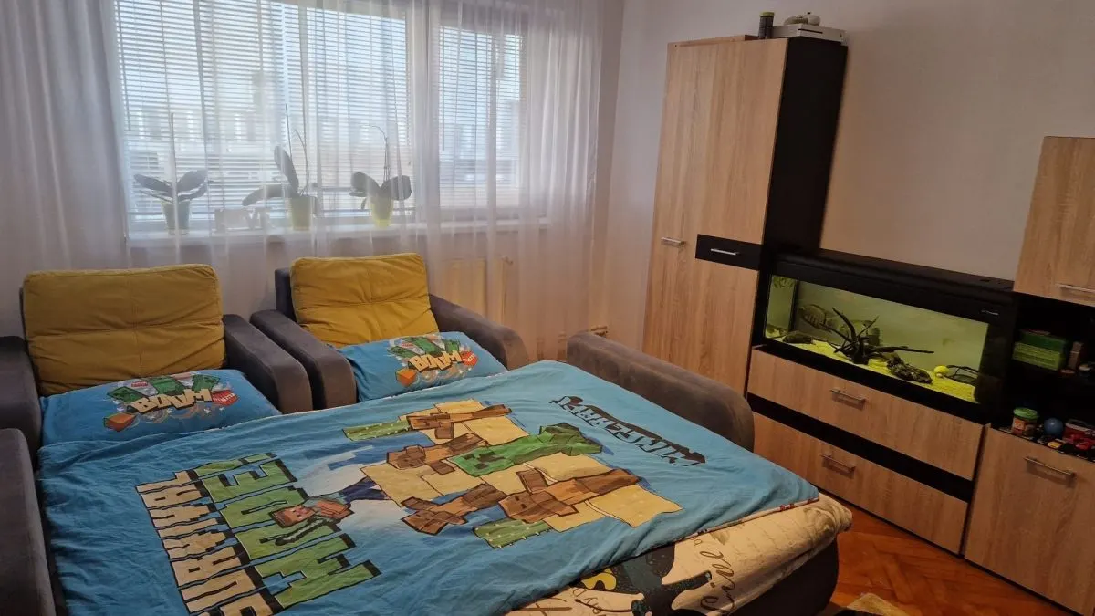 Apartament 2 camere Satu Mare - poza 1