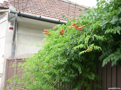 Casă 4 camere Cluj-Napoca - poza 7