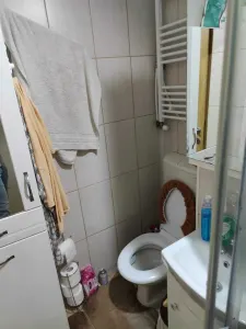 Apartament 3 camere Satu Mare - poza 2
