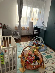 Apartament 3 camere Satu Mare - poza 3
