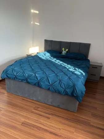 Apartament 3 camere Satu Mare - poza 4