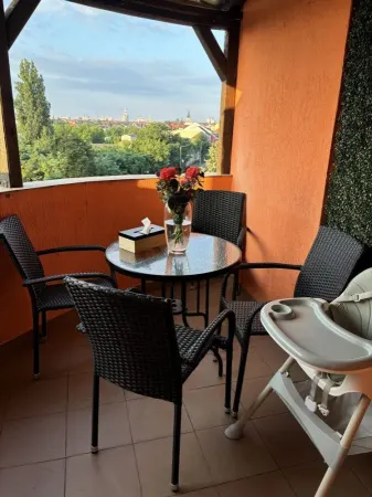 Apartament 3 camere Satu Mare - poza 8