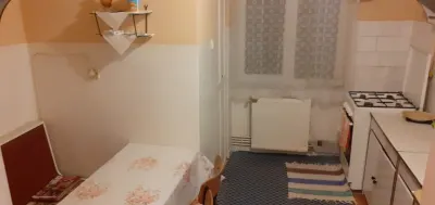 Apartament 3 camere Satu Mare - poza 4