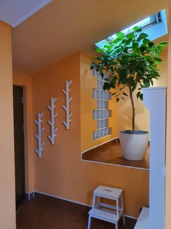 Apartament 2 camere București - poza 17