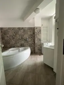 Spațiu comercial București - poza 6