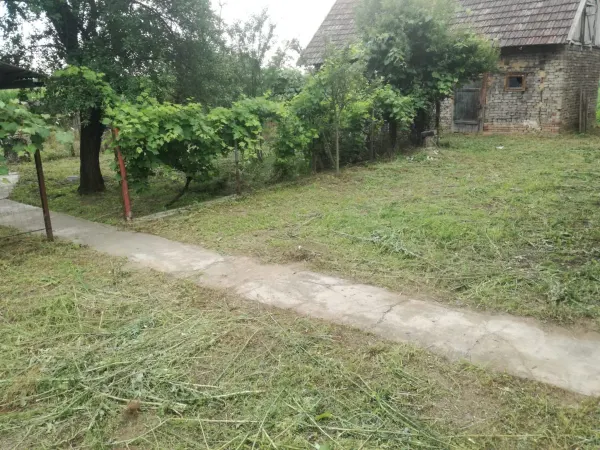 Casă 3 camere Horea - poza 6