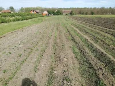 Casă 3 camere Horea - poza 7
