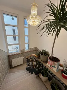 Casă 8 camere București - poza 20