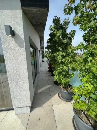 Apartament 3 camere București - poza 12