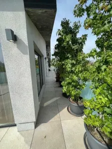 Apartament 3 camere București - poza 12