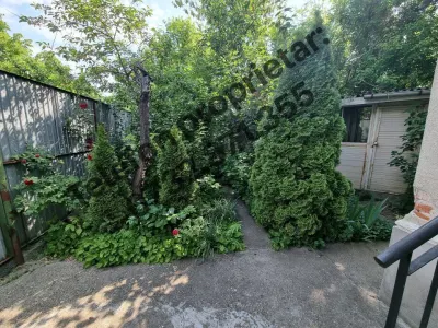 Casă 3 camere București - poza 2
