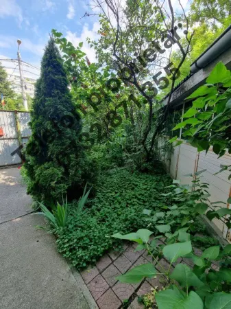 Casă 3 camere București - poza 3
