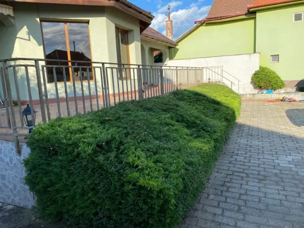 Casă 3 camere Avrig - poza 2