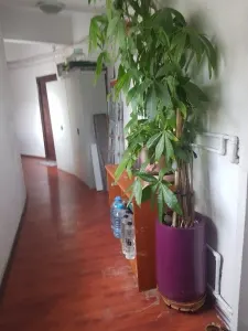 Garsonieră București - poza 10