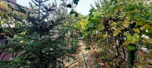 Casă 3 camere București - poza 11