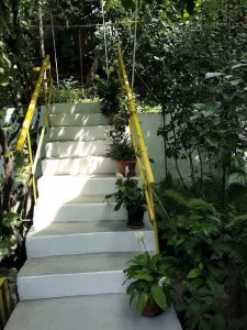 Casa, 3 dormitoare si living, de vînzare în Copou, an constr.2004 - Iasi