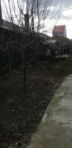 Casă Iași - poza 2