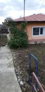 Casă Iași - poza 3