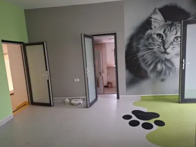 Casă 4 camere Iași - poza 5