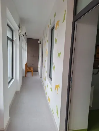 Casă 4 camere Iași - poza 8