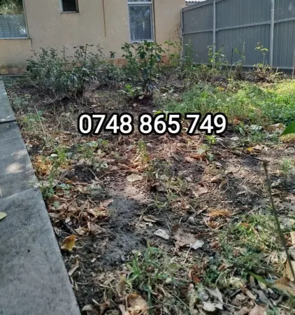 Casă Iași - poza 1