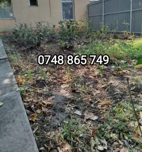 Casă Iași - poza 1