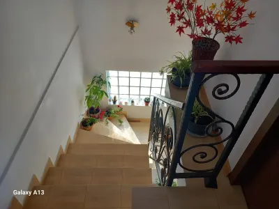 Casă 5 camere Pantelimon - poza 5