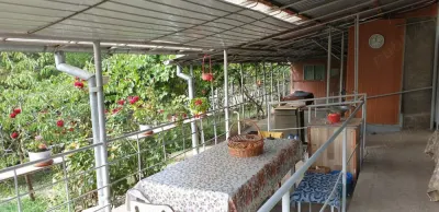 Casă Iași - poza 2