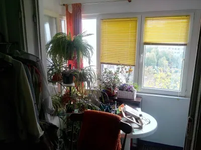 Apartament 3 camere București - poza 7