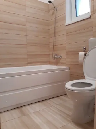 Apartament 2 camere Runcu - poza 2