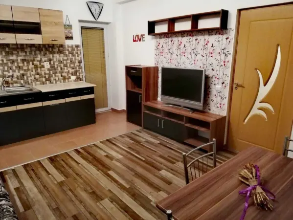 Apartament 2 camere Runcu - poza 3