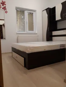Apartament 2 camere Runcu - poza 4