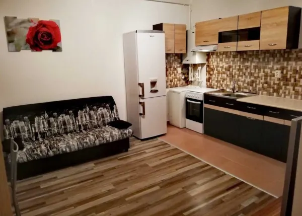 Apartament 2 camere Runcu - poza 5