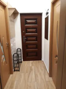 Apartament 2 camere Runcu - poza 6