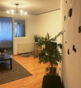 Casă 9 camere București - poza 3