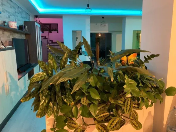 Casă 8 camere București - poza 11