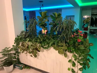 Casă 8 camere București - poza 10