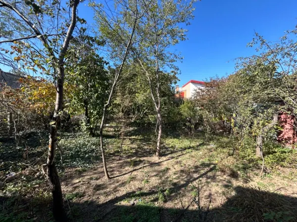 Casă 3 camere București - poza 3