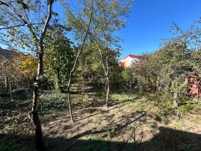 Casă 3 camere București - poza 3