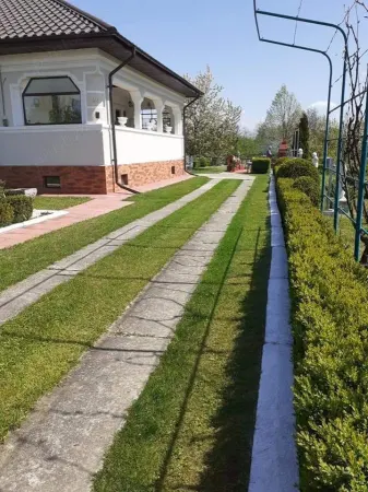 Casă București - poza 9