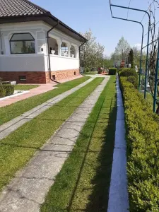 Casă București - poza 9